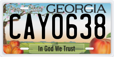GA license plate CAY0638