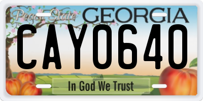 GA license plate CAY0640