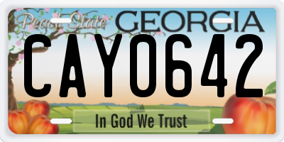 GA license plate CAY0642