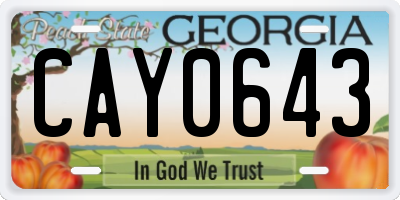 GA license plate CAY0643