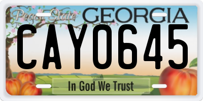GA license plate CAY0645