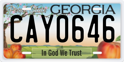 GA license plate CAY0646
