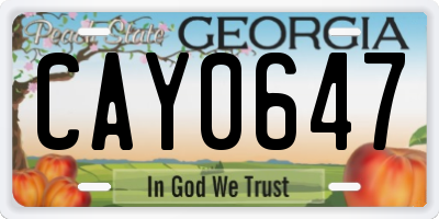 GA license plate CAY0647