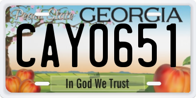 GA license plate CAY0651