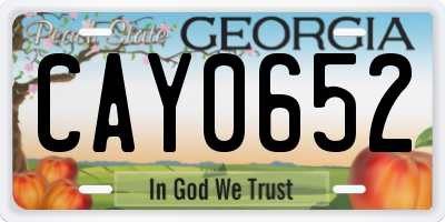 GA license plate CAY0652