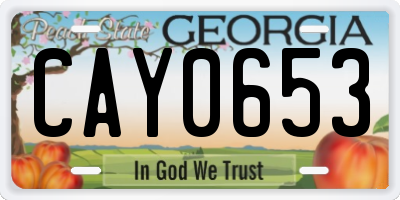 GA license plate CAY0653