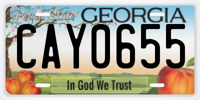 GA license plate CAY0655