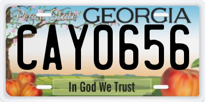 GA license plate CAY0656