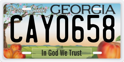 GA license plate CAY0658