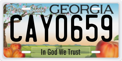GA license plate CAY0659