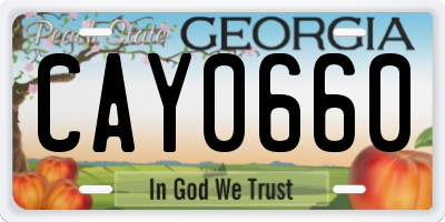 GA license plate CAY0660