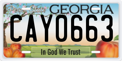 GA license plate CAY0663