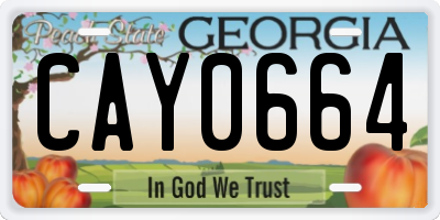GA license plate CAY0664