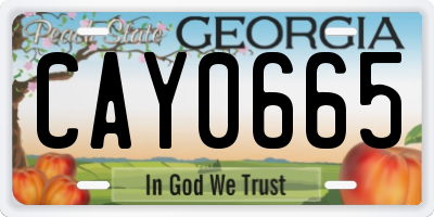 GA license plate CAY0665