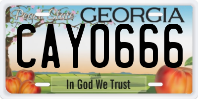 GA license plate CAY0666