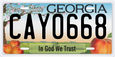 GA license plate CAY0668