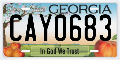 GA license plate CAY0683