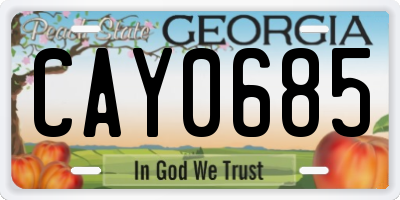 GA license plate CAY0685