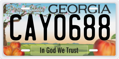 GA license plate CAY0688