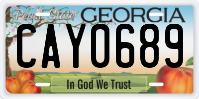 GA license plate CAY0689