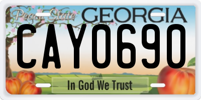 GA license plate CAY0690