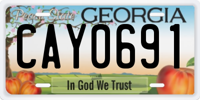 GA license plate CAY0691