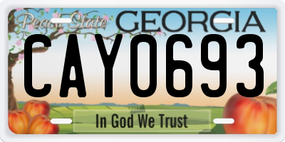 GA license plate CAY0693