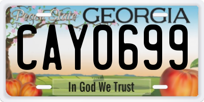 GA license plate CAY0699