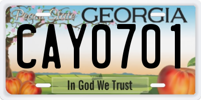 GA license plate CAY0701