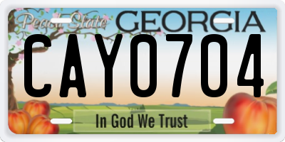 GA license plate CAY0704