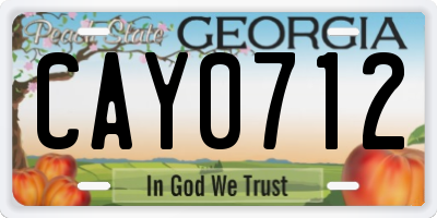 GA license plate CAY0712