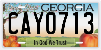 GA license plate CAY0713