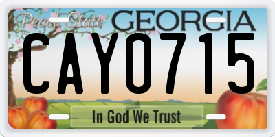 GA license plate CAY0715