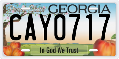 GA license plate CAY0717