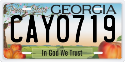 GA license plate CAY0719
