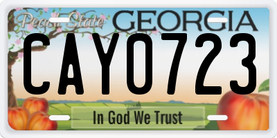 GA license plate CAY0723
