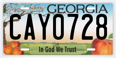 GA license plate CAY0728
