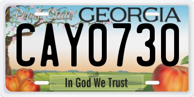 GA license plate CAY0730