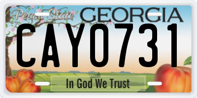 GA license plate CAY0731
