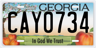 GA license plate CAY0734