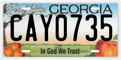 GA license plate CAY0735
