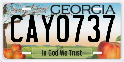 GA license plate CAY0737