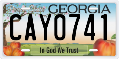 GA license plate CAY0741
