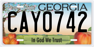 GA license plate CAY0742