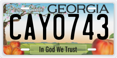 GA license plate CAY0743