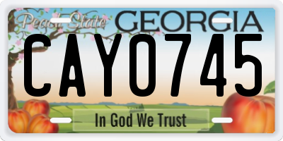 GA license plate CAY0745