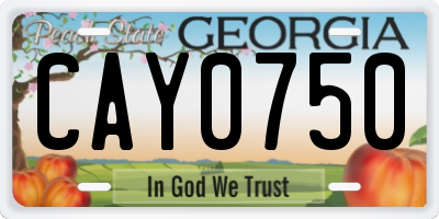 GA license plate CAY0750