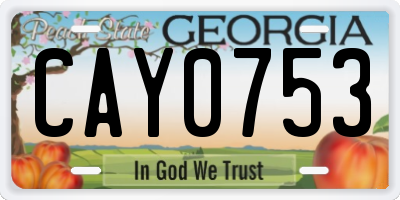 GA license plate CAY0753