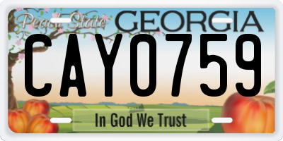 GA license plate CAY0759