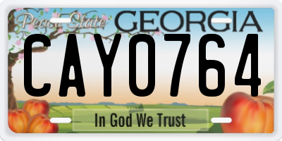 GA license plate CAY0764